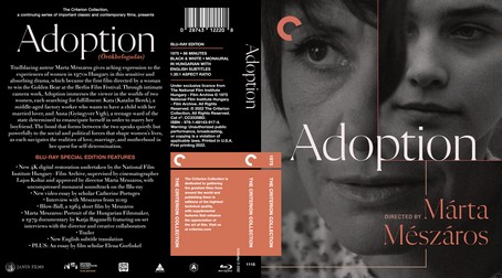 Adoption 1975