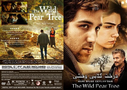 The Wild Pear Tree 2018