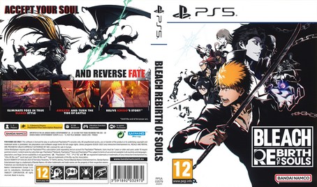 Bleach Rebirth of Souls