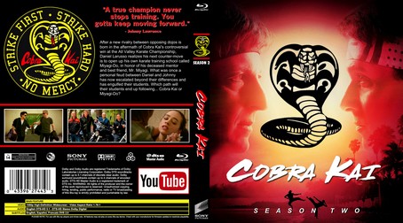 Cobra Kai Season 2