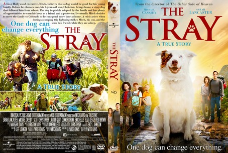 The Stray 2017