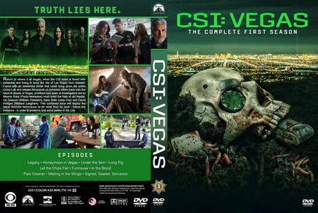 CSI Vegas Season 1