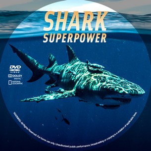 Shark Superpower 2022