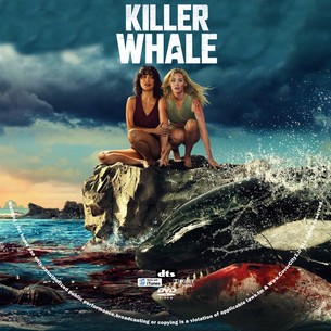 Killer Whale 2026