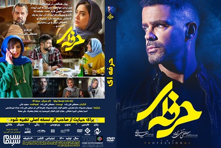 حرفه ای