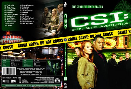 CSI Las Vegas Season 10