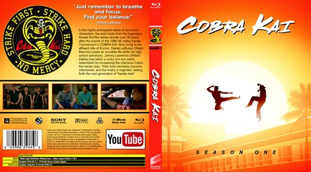 Cobra Kai Season 1