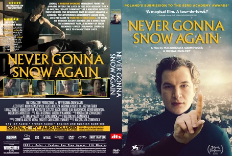 Never Gonna Snow Again 2020
