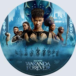 Black Panther Wakanda Forever 2022