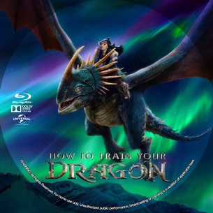 How to Train Your Dragon 2025