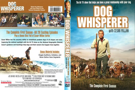 Dog Whisperer 2012