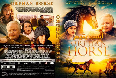 Orphan Horse 2018