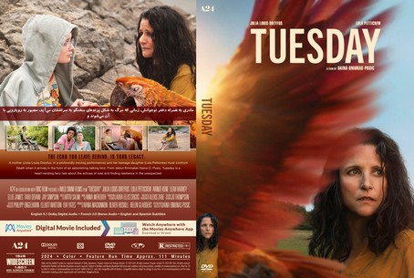 Tuesday 2023