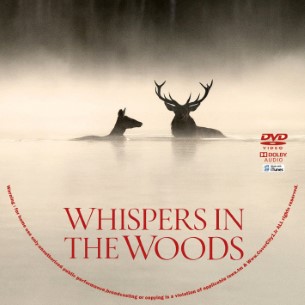 Whispers in the Woods 2025