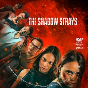 The Shadow Strays 2024