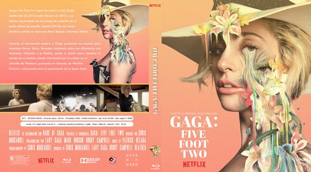 Gaga Five Foot Two 2017