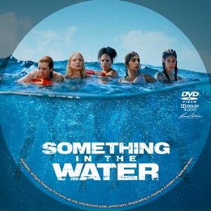 Something in the Water 2024
