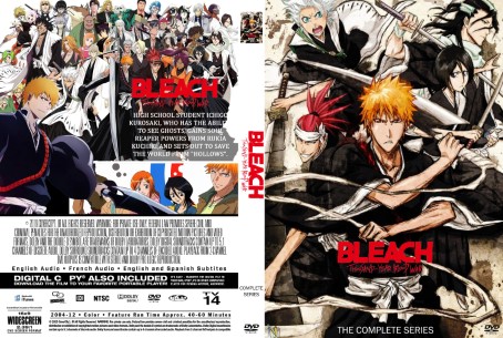 Bleach Season 1