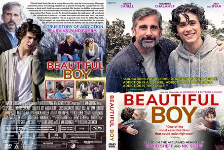 Beautiful Boy 2018