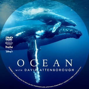 David Attenborough Ocean 2025