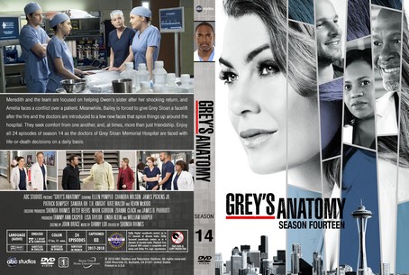 Grey's Anatomy Season 14