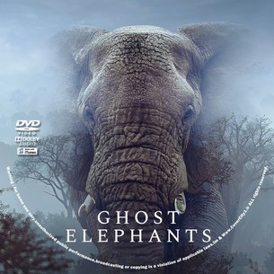 Ghost Elephants 2025