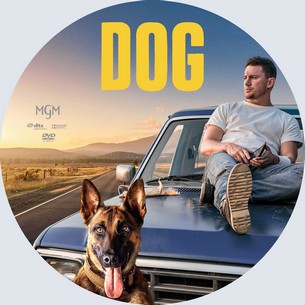 Dog 2022