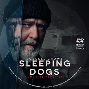 Sleeping Dogs 2024