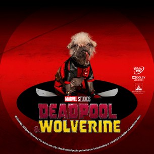 Deadpool & Wolverine 2024