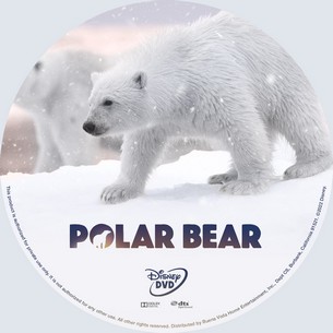 Polar Bear 2022