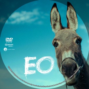 EO 2022