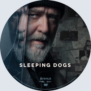 Sleeping Dogs 2024