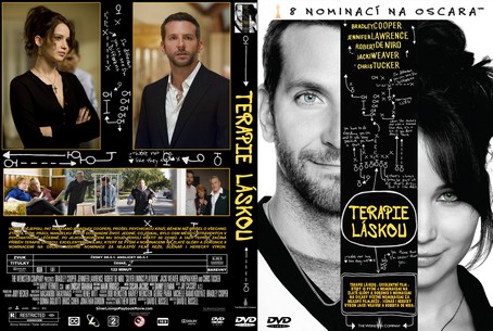 Silver Linings Playbook 2012