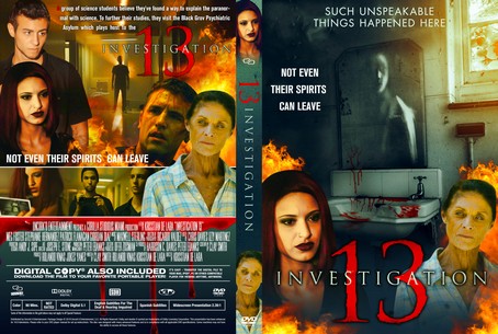 Investigation 13 2019
