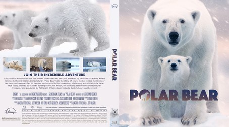 Polar Bear 2022