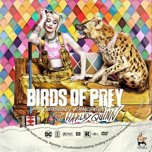 Harley Quinn Birds of Prey 2020