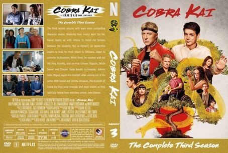 Cobra Kai Season 3