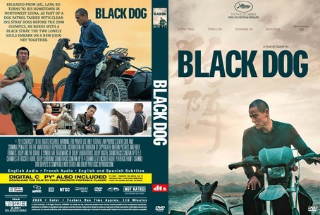 Black Dog 2024