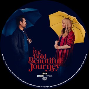 A Big Bold Beautiful Journey 2025