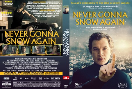 Never Gonna Snow Again 2020