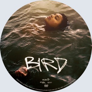 Bird 2024